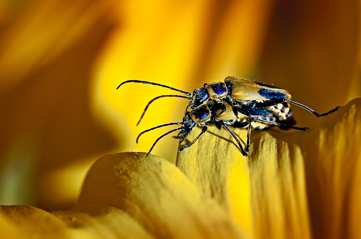 Nature's Way Glenn Bloodworth Photography Photographer Ottawa Ontario Canada