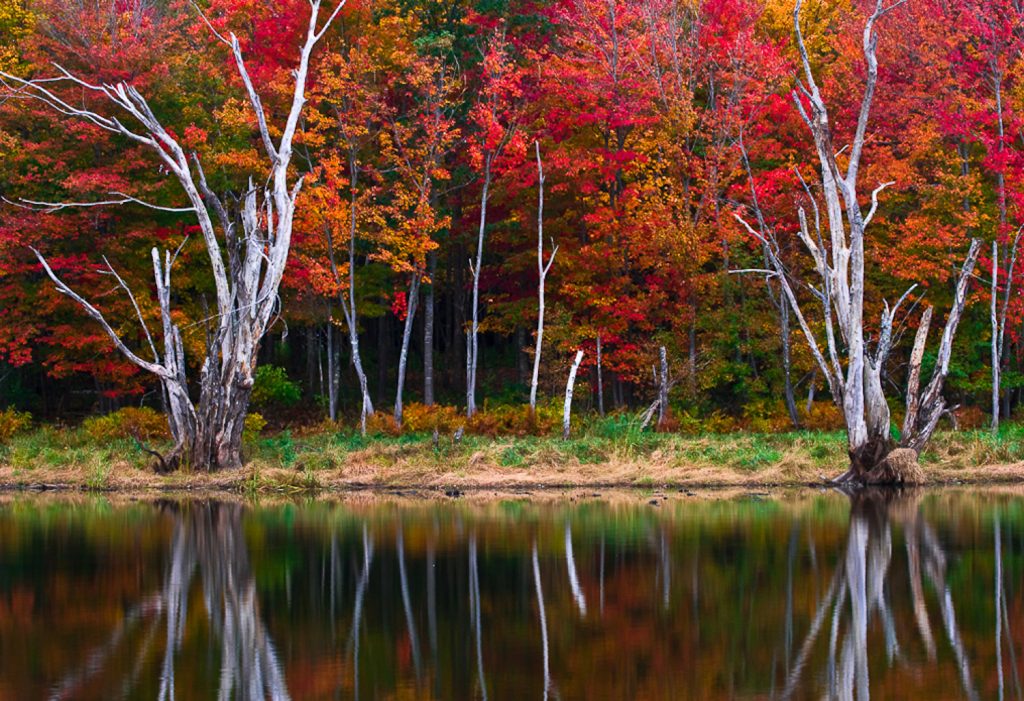 Autumn in Patterson's Backyard Glenn Bloodworth Photography Photographer Ottawa Ontario Canada