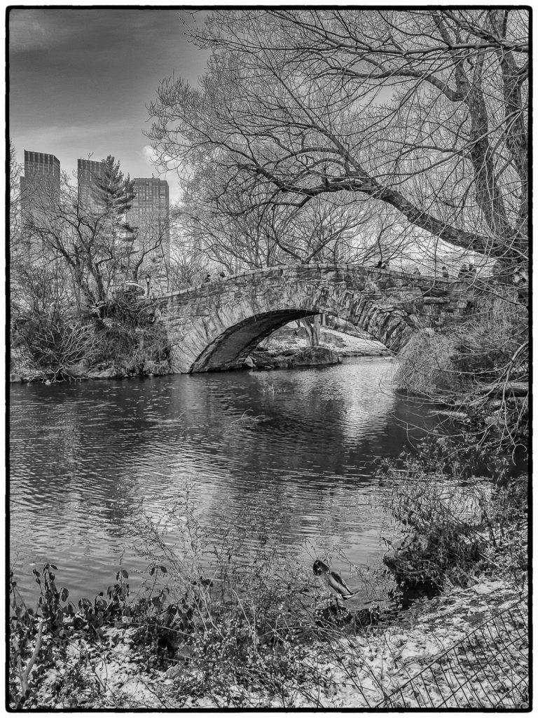 Footbridge, The Pond, Central Park, New York Glenn Bloodworth Photography Photographer Ottawa Ontario Canada